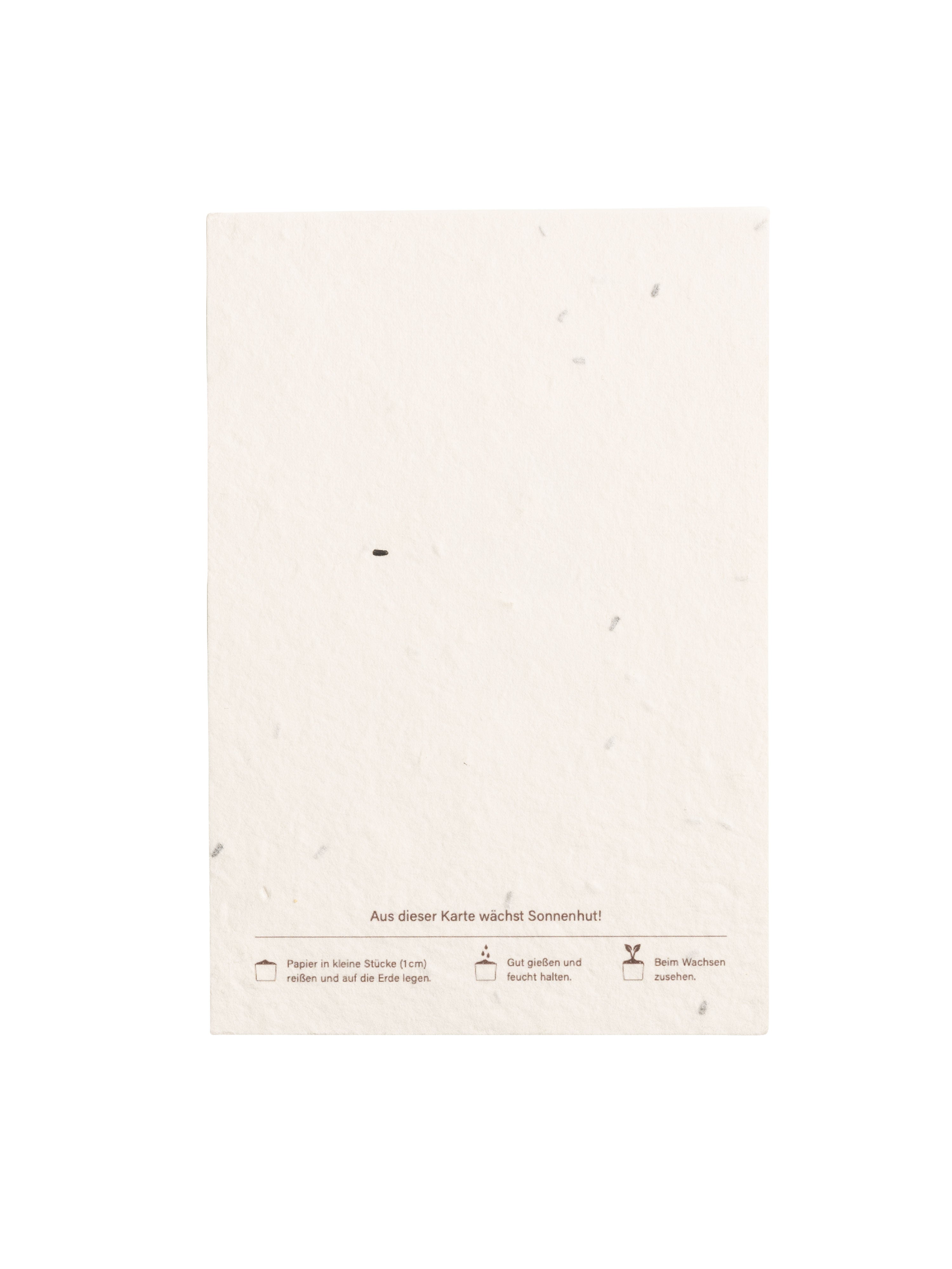 Blumenkarte Rückseite