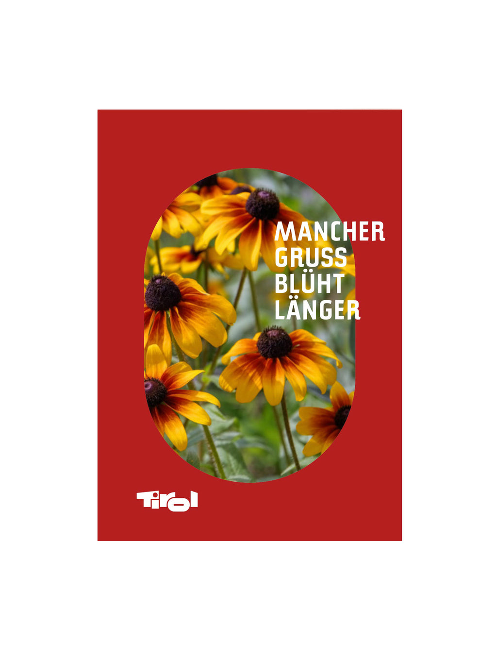 Aus den Samen der Blumenkarten  wächst Sonnenhut.