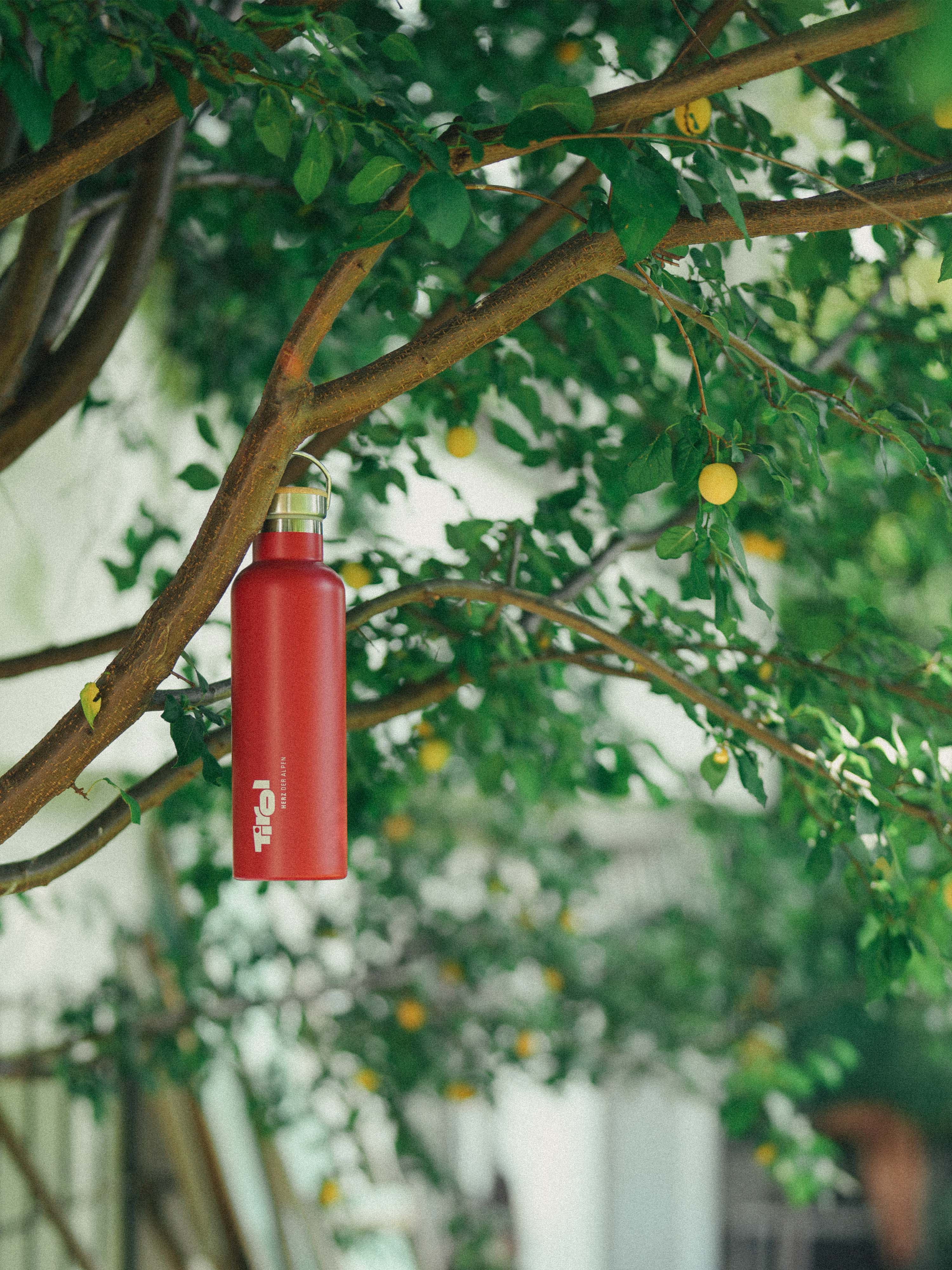 Stahltrinkflasche "Ernie"